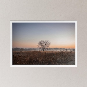 Matin d'automne - Décoration murale de photographie de paysage de ferme | Impression sur papier mat (4 x 6, 5 x 7, 8,5 x 11, 11 x 17, 13 x 19)