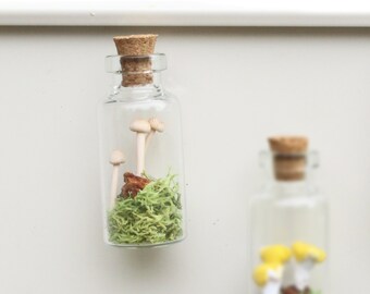 Enoki Micro Mushroom Terrarium Magnet, Refrigerator Magnet, Gift for Him, Nature Gift, Botanical Gift | TheMagnetMaiden