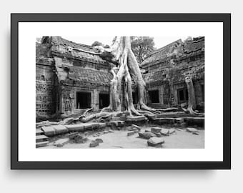 Trees of Ta Prohm, Cambordia, Black & White Photography