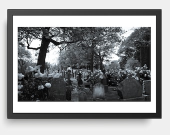 Cemetery Garden, Parc du Mont-Royal, Montréal QC, Black & White Photography