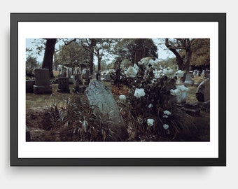 Autumnal Sleep I, Parc du Mont-Royal, Montréal QC, Black & White Photography