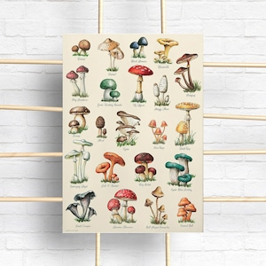 Mushrooms Print Fungi Vintage Poster, Vintage Mushrooms Poster, - Etsy