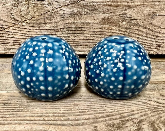 Navy Blue Sea Urchin Salt and Pepper Shakers Ceramic Coastal Kitchen Decor Gift for Beach Lovers Ocean Lovers Housewarming Dining Set