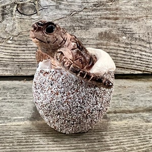 May include: A small brown and white ceramic turtle figurine emerging from a speckled egg-shaped shell.