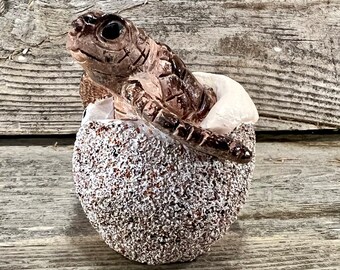 Realistic Resin Sea Turtle Hatchling with Sandy Egg Shell Figurine