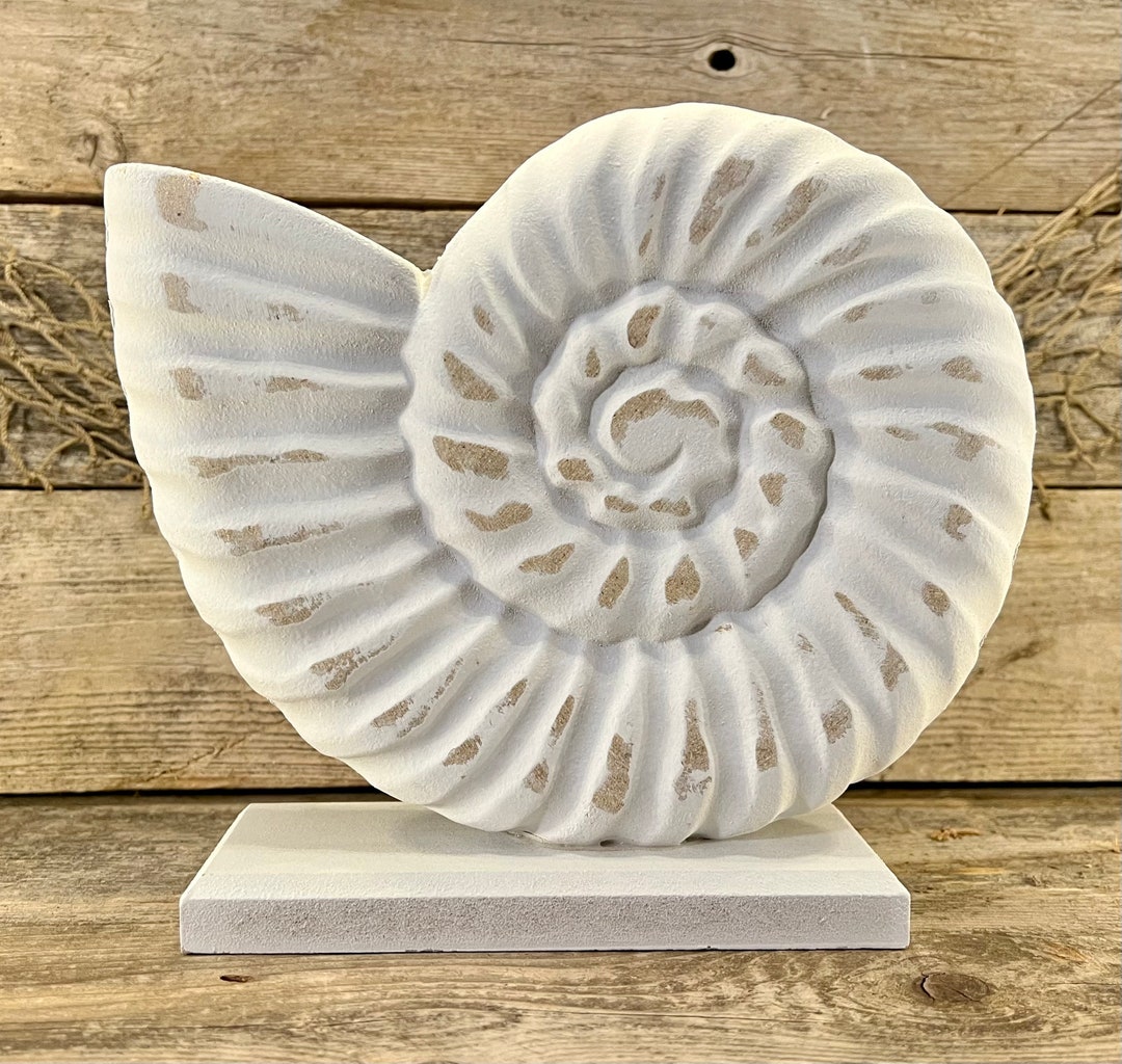 Tabletop Shells Distressed White Nautilus Shell Tabletop Wood Sculpture - Etsy