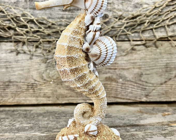 Sand and Seashells Coastal Seahorse Statuette