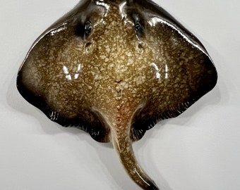 Realistic Gray Polyresin Stingray Refrigerator Magnet Ocean Inspired Kitchen Decor