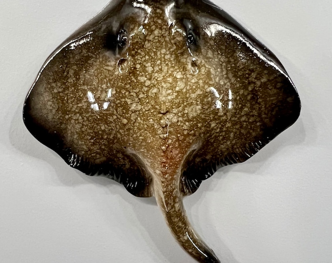 Realistic Gray Polyresin Stingray Refrigerator Magnet Ocean Inspired Kitchen Decor