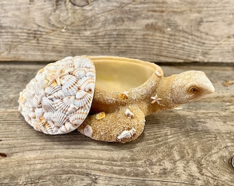 Sand and Seashells Sea Turtle Keeper Box