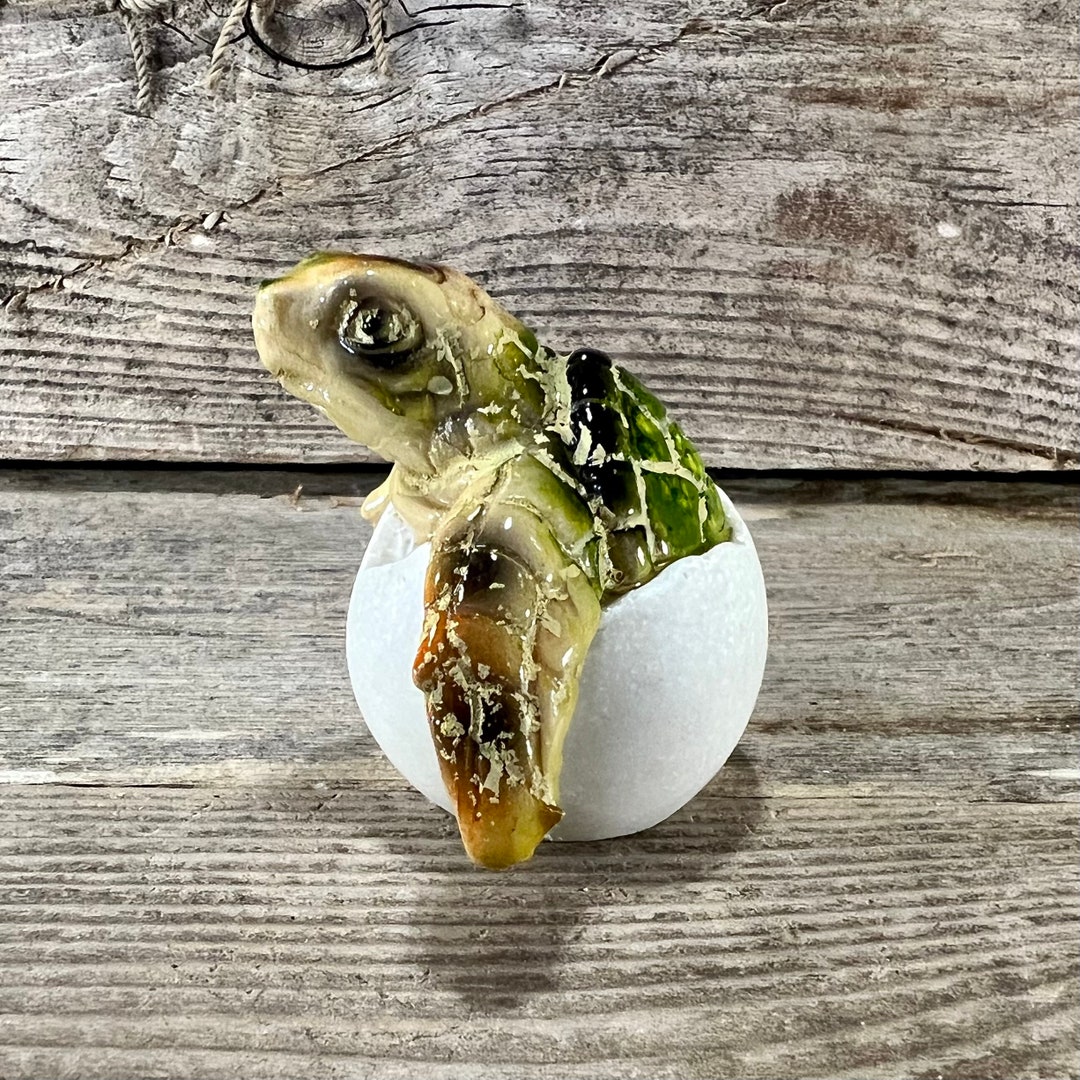 Miniature Polyresin Green Sea Turtle Hatchling Figurine Etsy