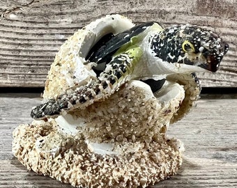 Miniature Sandy Sea Turtle Hatchling Resin Figurine