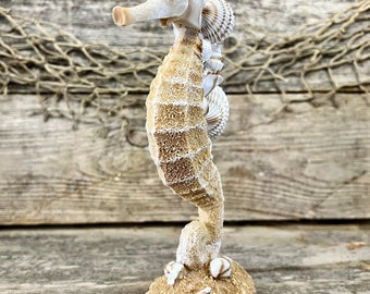 Sand and Seashells Coastal Seahorse Statuette