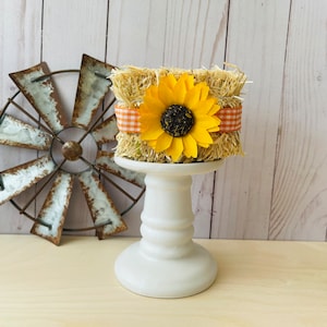 Mini Hay Bale for Tiered Tray Decor, Fall Tiered Tray Decor, Fall Home Decor, Fall Farmhouse Decor, Tiered Tray Riser