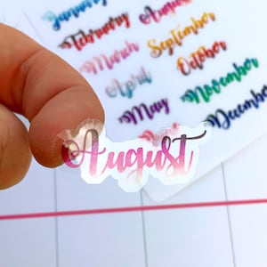 Clear Month stickers, overview stickers, stickers, planner stickers, journal stickers, months of the year, months C045