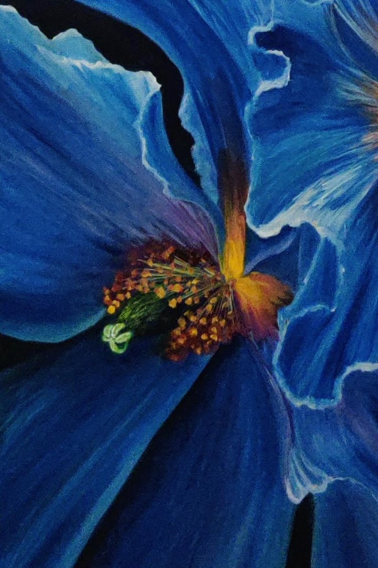 Blue Poppy. Original Oil Painting on Canvas 22x28 Macro Flowers Home Decor Modern Decor, Floral