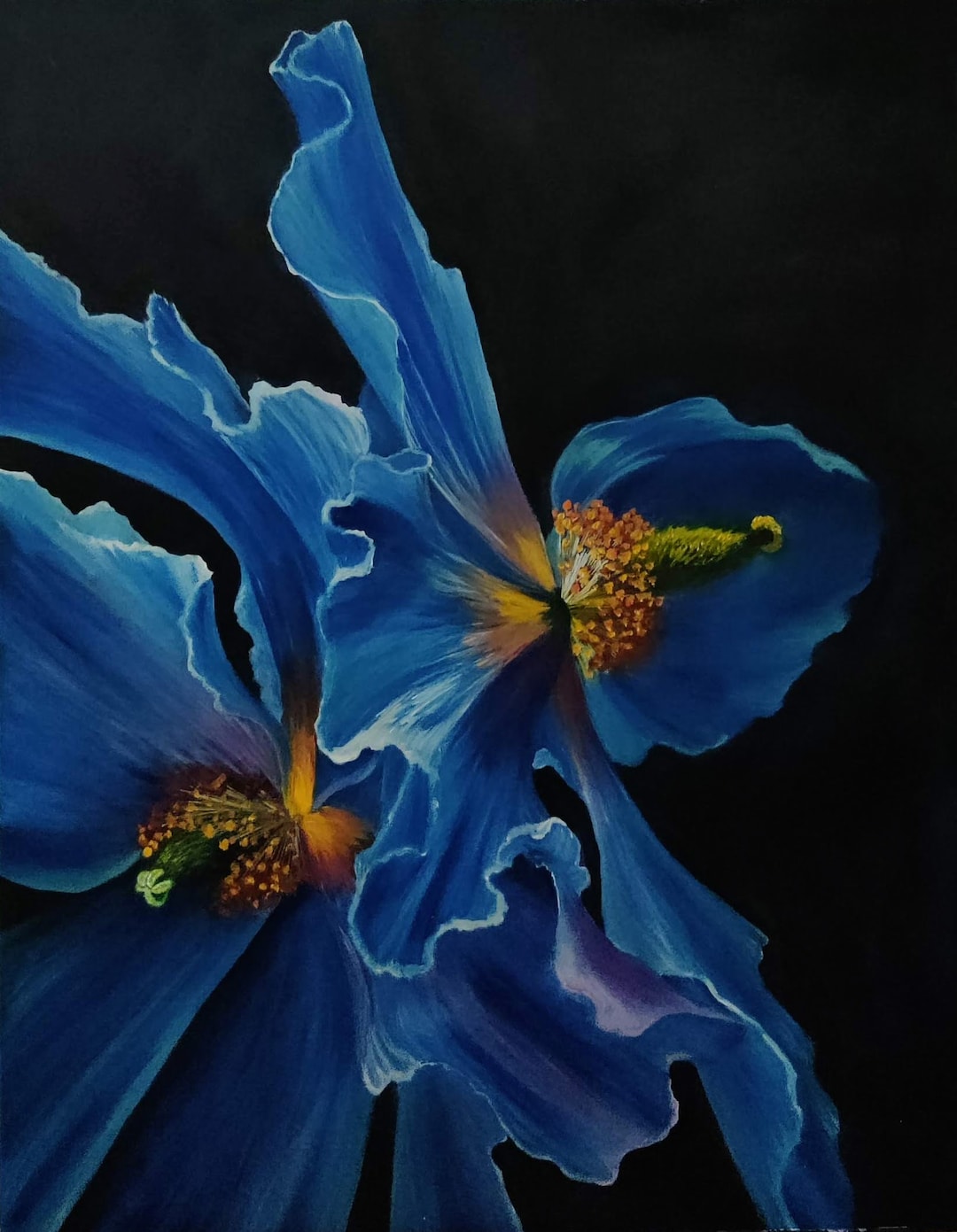 Blue Poppy. Original Oil Painting on Canvas 22x28 Macro Flowers Home Decor Modern Decor, Floral