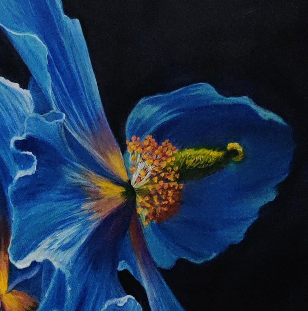 Blue Poppy. Original Oil Painting on Canvas 22x28 Etsy