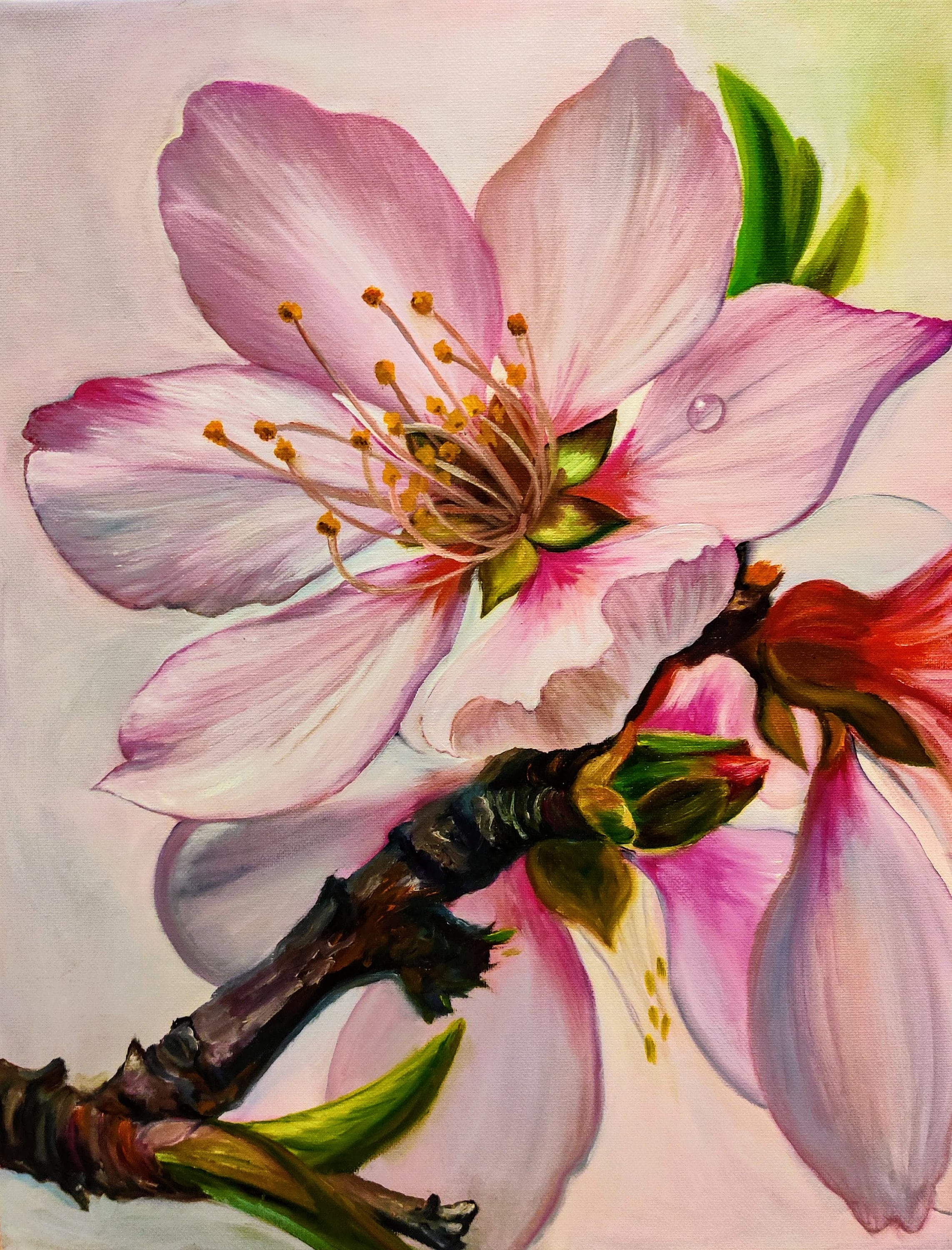 Peach Flower. Original Oil Painting on Canvas Etsy