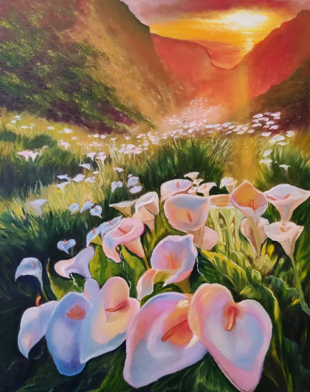 Calla Lily Valey at Sunset. Original Oil Painting on Canvas 16