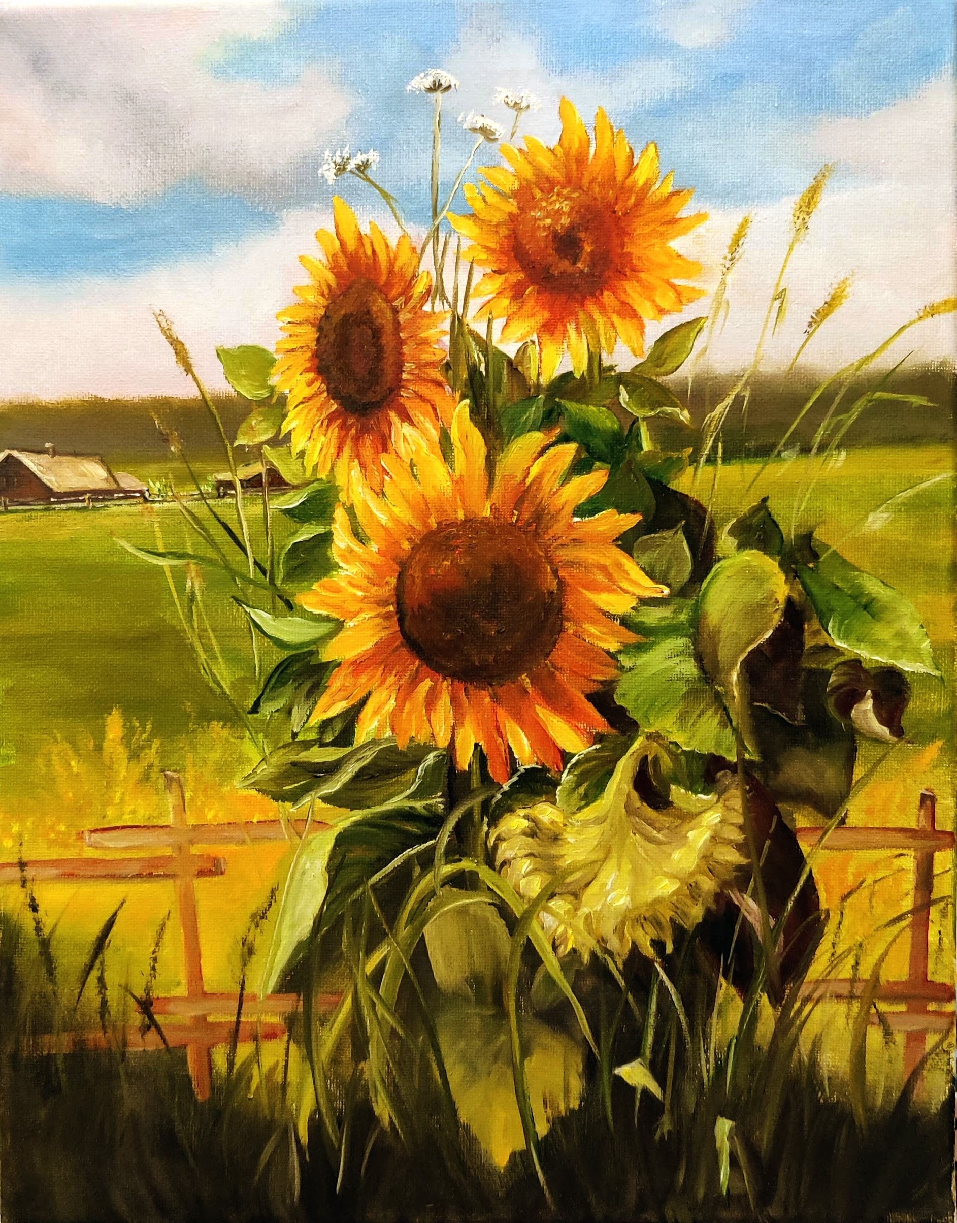 Sunflowers. Original Oil Painting on Stretched Canvas 11