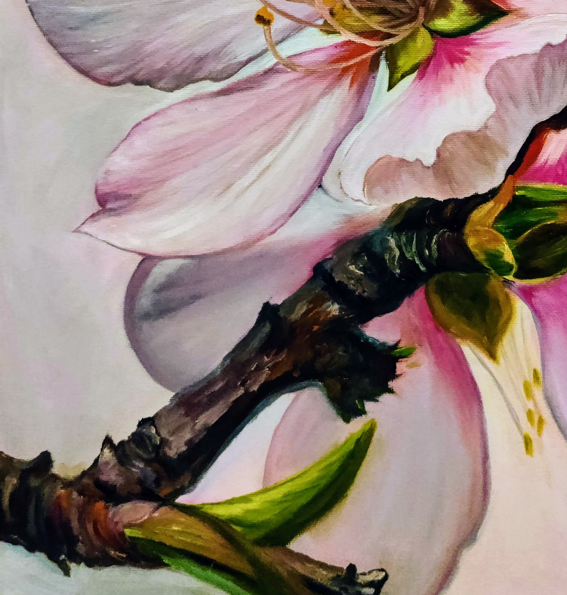 Peach Flower Original Oil Painting On Canvas 14 x18 peach Blossom 