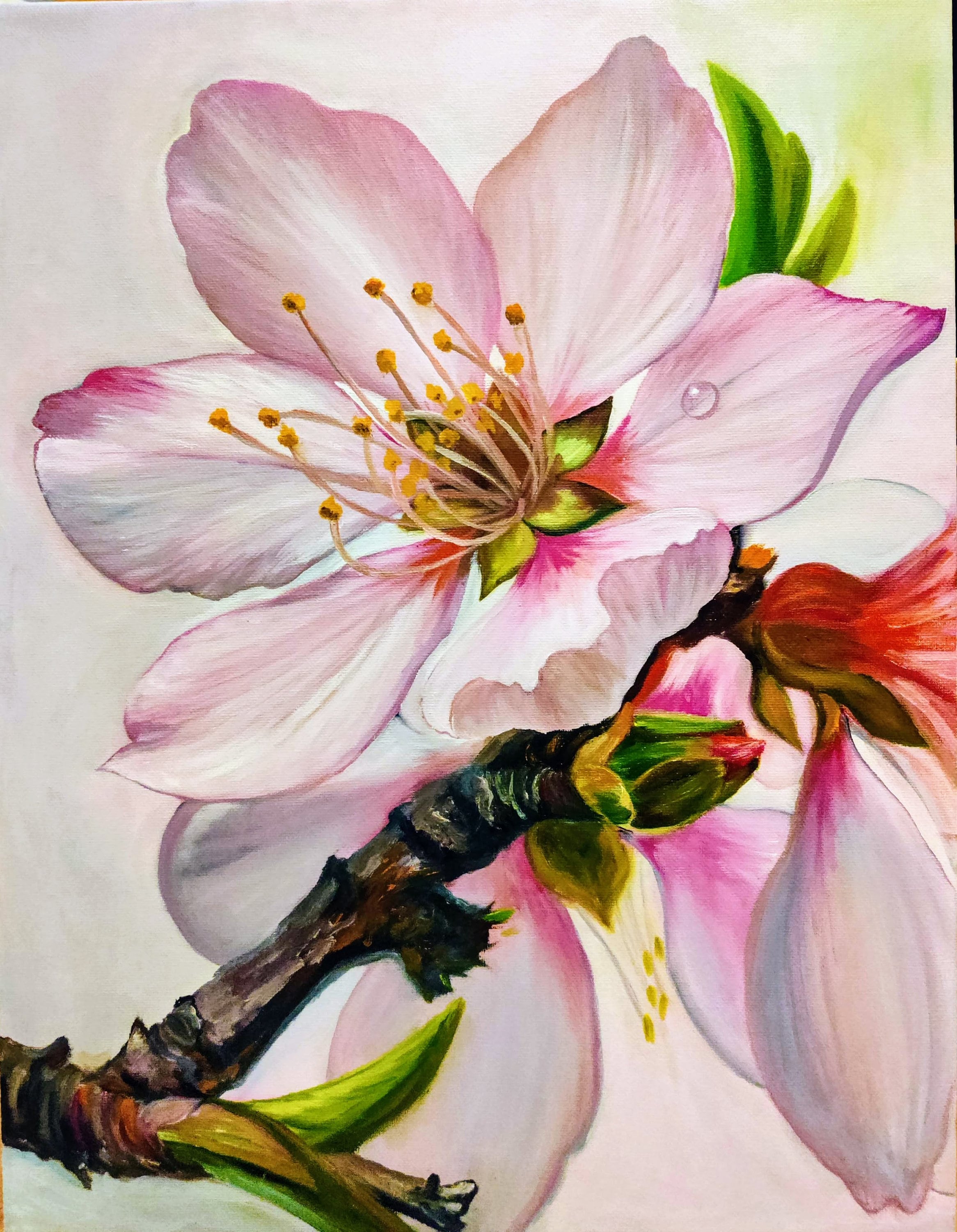 Peach Flower. Original Oil Painting on Canvas 14