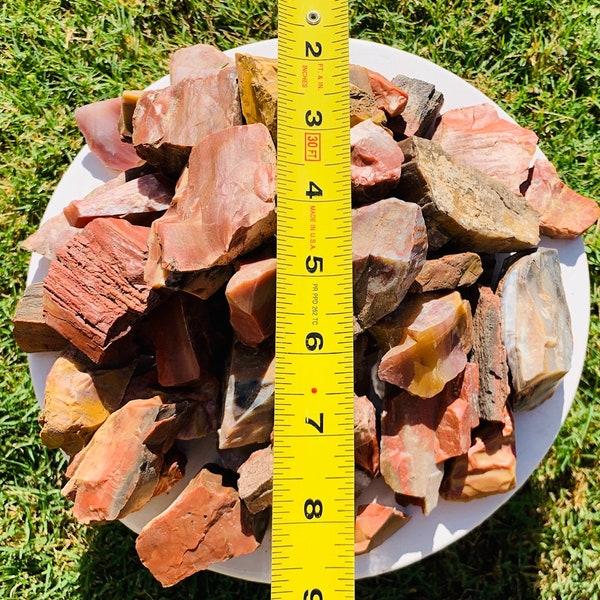 4 LBS  1" - 2" Assorted Shapes Sizes & Colors Natural Arizona Rainbow Petrified Wood Fossil Rough Raw Solid