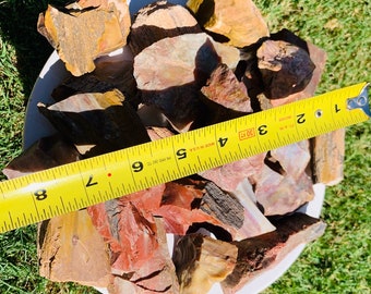 4 libras de 2" - 3" Surtido Formas Tamaños y Colores Natural Arizona Rainbow Petrified Wood Fossil Raw Raw Solid Lapidary Tumbling