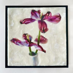 Lush Petals Encaustic Photography