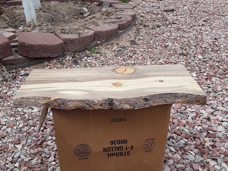 Live Edge Beetle Kill Pine Shelves Choose Your Sizes Etsy