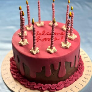 Handmade Coraline Welcome Home Cake - Etsy