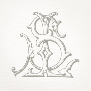 May include: A decorative monogram with the letters "S" and "B" intertwined in a stylized, ornate design. The letters are in a gray color and have a vintage, antique aesthetic.