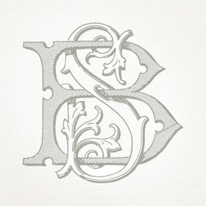 May include: A vintage-style monogram featuring the letters "B" and "S" intertwined with ornate floral designs. The letters are in a bold, serif font and the floral elements are intricate and detailed.