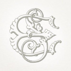 May include: A decorative monogram with the letters "S" and "E" intertwined in a stylized, ornate design. The letters are in a gray color and have a vintage, antique look.