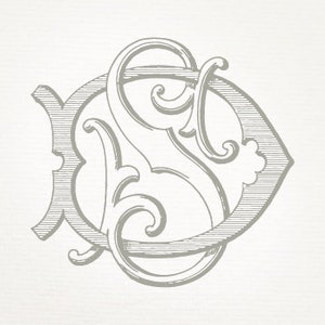 May include: A decorative monogram with the letters "S" and "D" intertwined in a stylized, ornate design. The letters are in a gray color and are set against a white background.