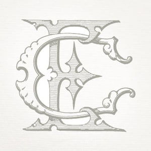 May include: A decorative initial letter E with a stylized design. The letter is in a gray color and has a vintage look.
