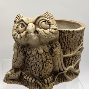 May include: A ceramic owl planter with a tree trunk design. The owl has large eyes and a detailed feather pattern. The planter is ideal for small plants or succulents.