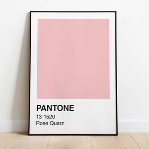 May include: A framed print featuring a solid block of Rose Quartz pink color, identified as Pantone 13-1520. The print has a white border and black frame, leaning against a white wall on a wooden floor.