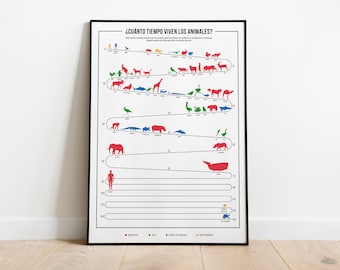 Poster How long do animals live? / Decorative lamina / Poster How long do animals live? / Decorative foil / Educational Poster