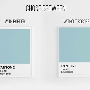 May include: Two framed prints showcasing a light blue color, labeled "Pantone 13-4810 Limpet Shell." One print has a white border, the other does not. The text "CHOSE BETWEEN" is at the top.