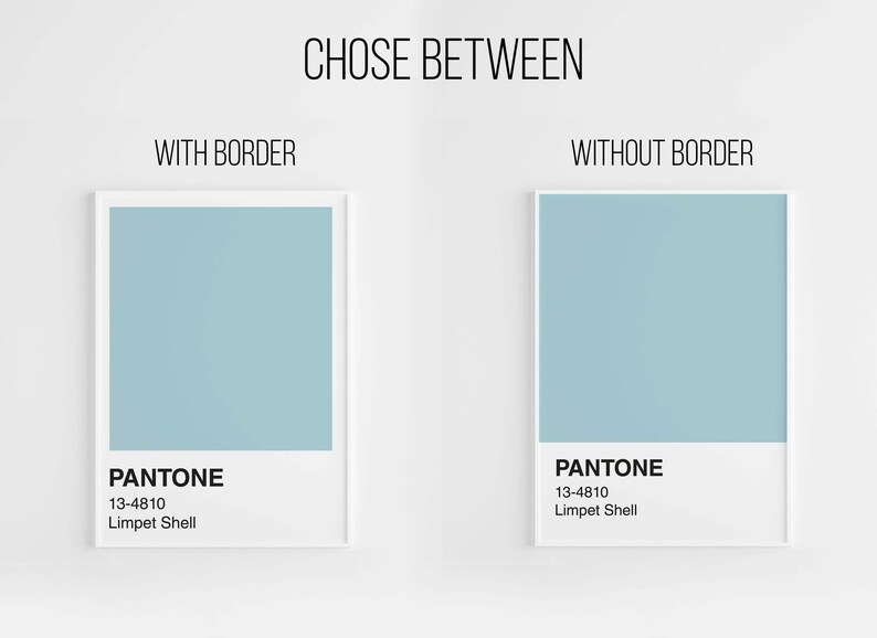 May include: Two framed prints showcasing a light blue color, labeled "Pantone 13-4810 Limpet Shell." One print has a white border, the other does not. The text "CHOSE BETWEEN" is at the top.