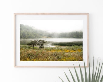 Landscape Photography, Lake View Photo, Digital Instant Downloadable Print, Lake Photo Wall Art, Country Landscape Photography, Flower Field