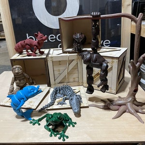Amazing Creature Crate