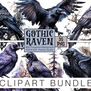 Aquarela Gothic Raven Clipart, Black Raven Png, Gothic Bird Png, Raven Sublimation, Mystical Clipart, Fundo Transparente, Pacote de 35