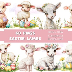 Watercolor Easter Lamb Clipart, Cute Sheep Clipart, Spring Lamb Clipart, Floral Lamb Clipart, Transparent Background, 60 Pngs Bundle
