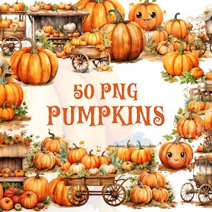 Aquarel pompoenen clipart, herfst pompoen png, pompoen png clipart, herfst herfst clipart, transparante achtergrond, 50 png pompoenen bundel
