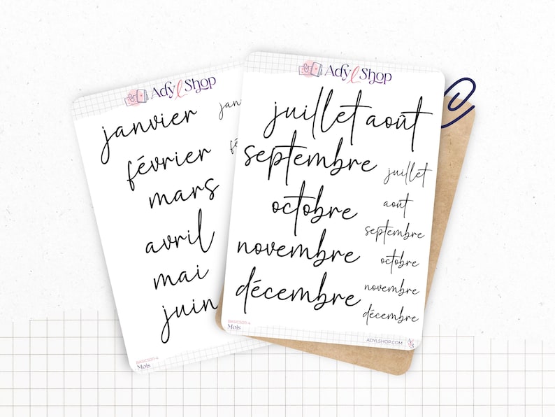 Stickers - Months of the year - Transparent matte sticker paper - 5 different fonts - Bullet Journal & Planner sticker sheet - Journaling 04. FRANÇAIS