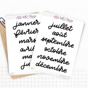 Stickers - Months of the year - Transparent matte sticker paper - 5 different fonts - Bullet Journal & Planner sticker sheet - Journaling 01. FRANÇAIS