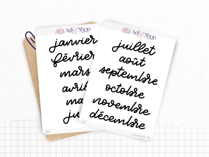 Stickers - Months of the year - Transparent matte sticker paper - 5 different fonts - Bullet Journal & Planner sticker sheet - Journaling 01. FRANÇAIS